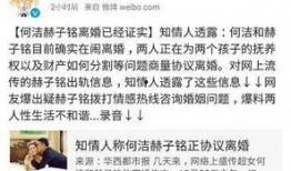 网友爆料离婚案件最新,豪门恩怨，真相背后令人唏嘘